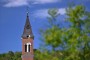 MT8_0755.jpg