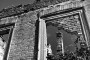 MT8_0774.jpg