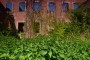 MT8_0783.jpg