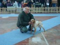 kinoloski-klub-suhopolje (24)