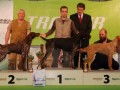 kinoloski-klub-suhopolje (25)