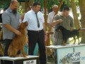 kinoloski-klub-suhopolje (3)