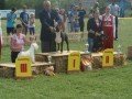kinoloski-klub-suhopolje (7)