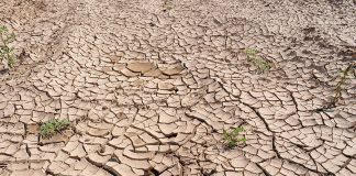 Javni poziv za provedbu programa dodjele potpore male vrijednosti poljoprivrednicima na području Općine Suhopolje kao pomoć za ublažavanje posljedica prirodne nepogode suše za 2024. godinu